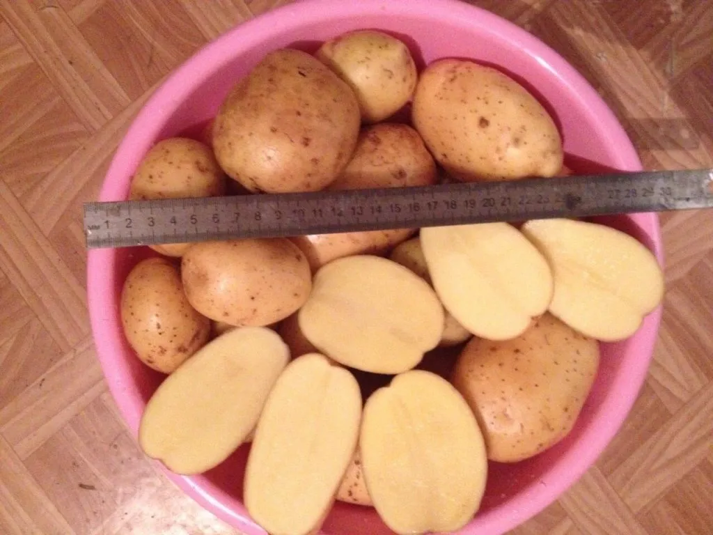 фотография продукта Качественный Тамбовский картофель!!!