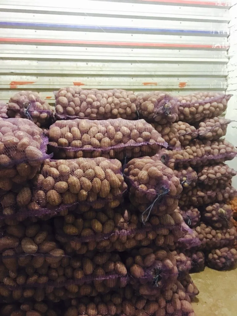картофель крупный (продовольственный)  в Иванове 2