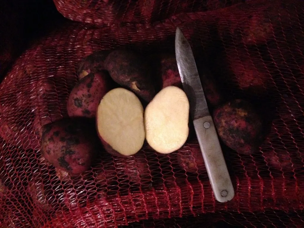 фотография продукта картофель оптом 7 руб