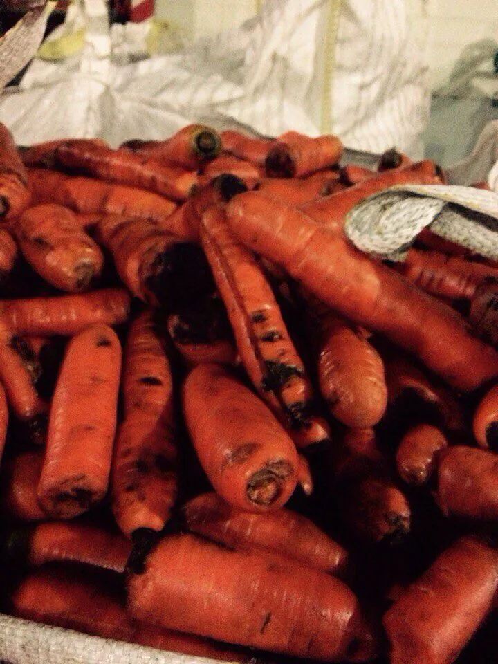 фотография продукта морковь на переработку, 3,5 руб, от 20 т