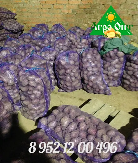 фотография продукта Картофель оптом 5.80 р с НДС калибр 6+