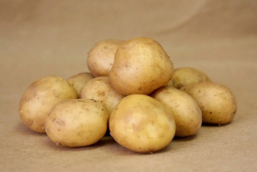 фотография продукта Реализуем семенной картофель 