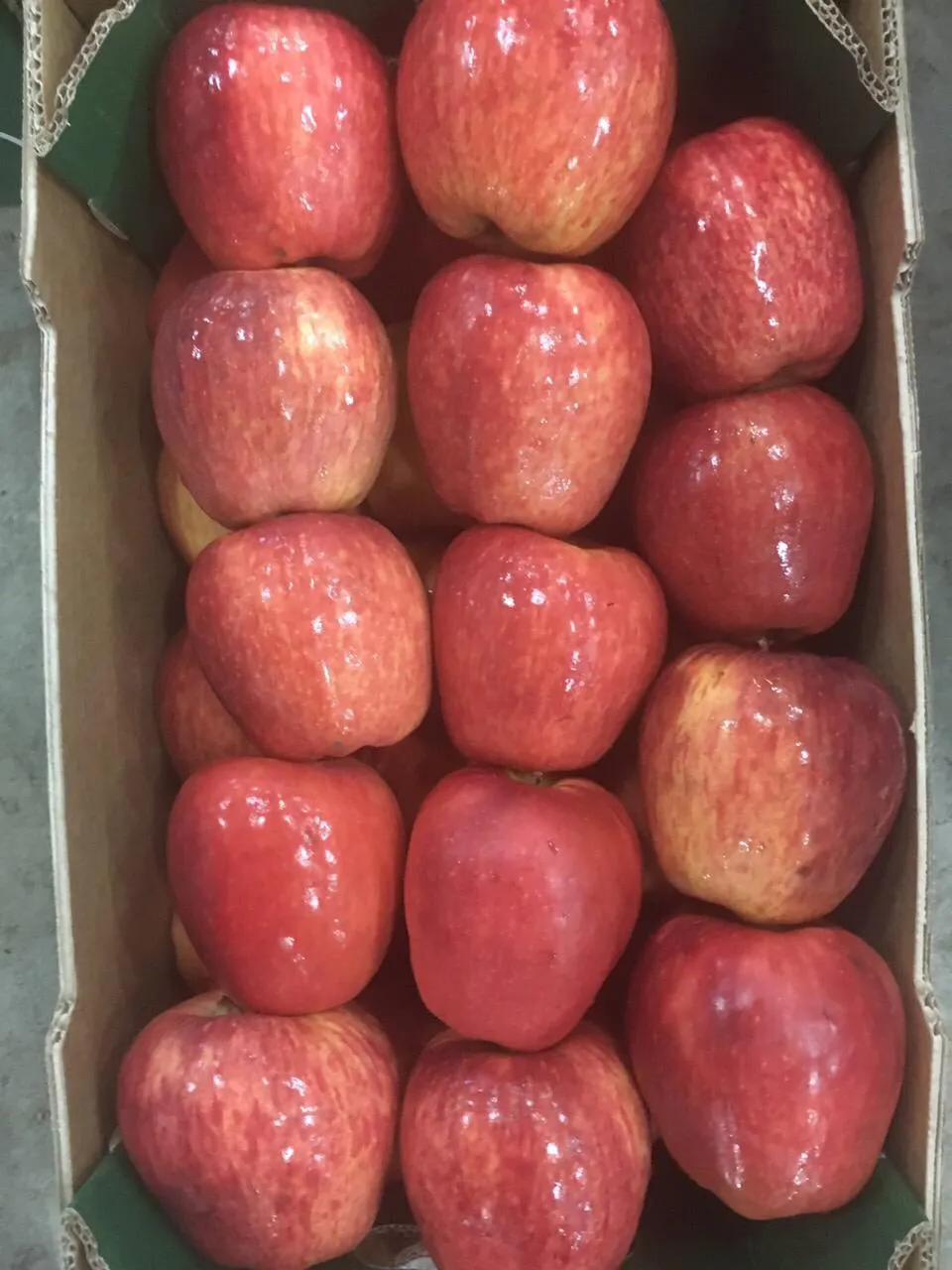 фотография продукта Купим яблоки в г.  Брянске.