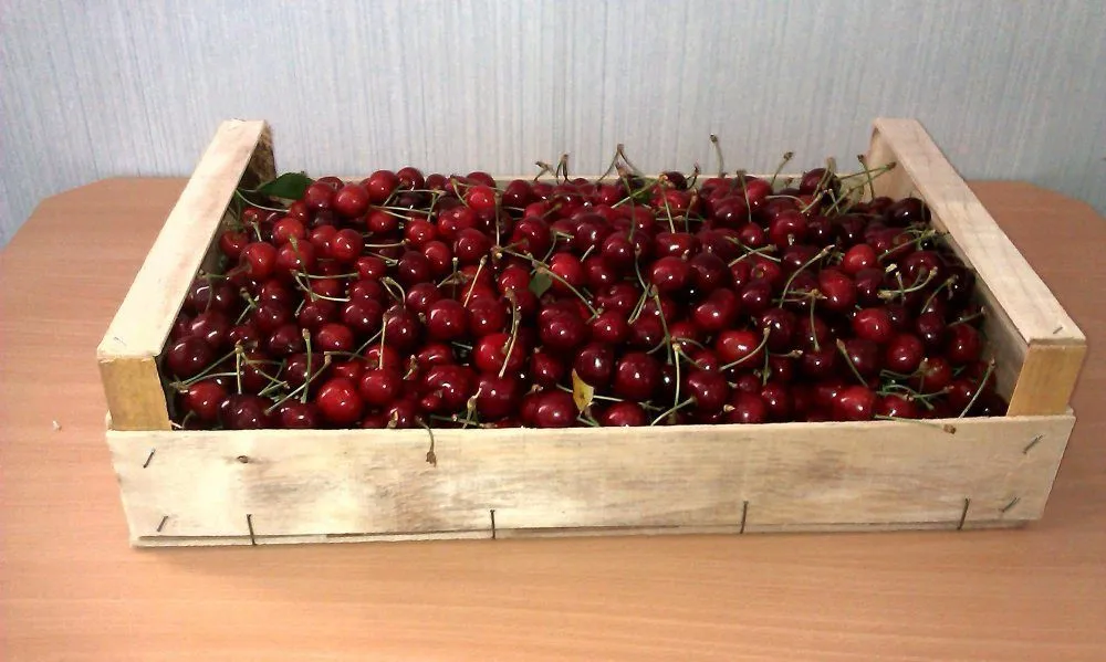 ящики-лотки для упаковки фруктов  в Симферополе 2