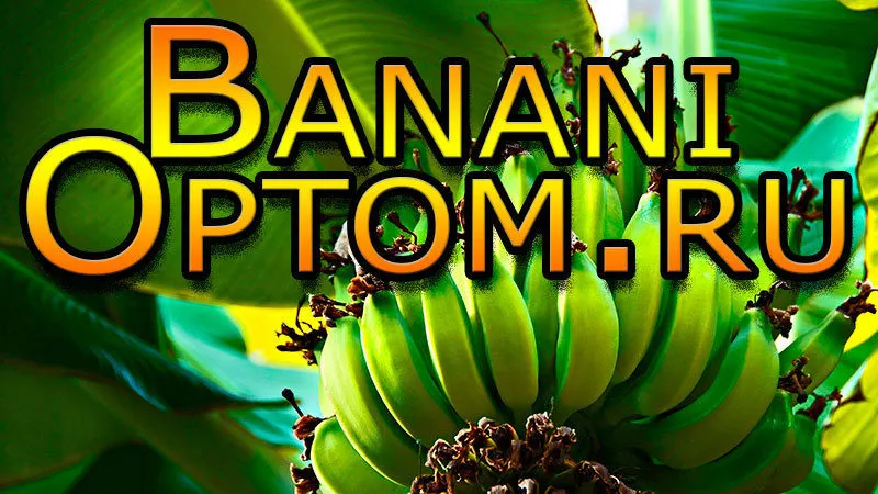 фотография продукта Бананы оптом в разные страны из Эквадора