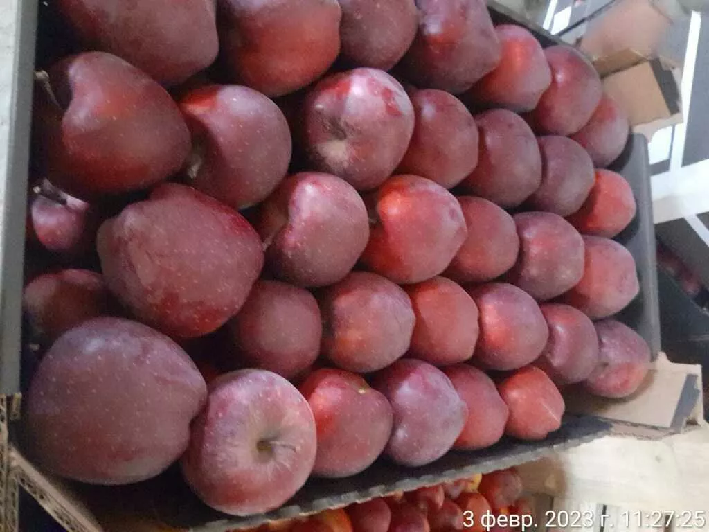 яблоки от производителя из РБ в Республике Беларусь 2