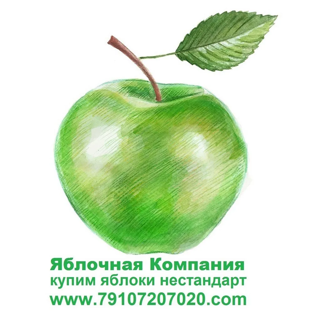 фотография продукта Купим яблоки на переработку в РФ и РБ