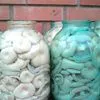 грибы грузди боровые солёно-отварные в Омске 2