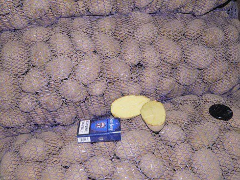 фотография продукта Картофель "Удача" 5+ от фермера