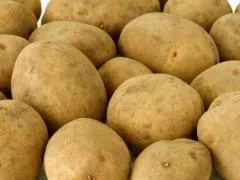 фотография продукта Семенной картофель из Беларуси