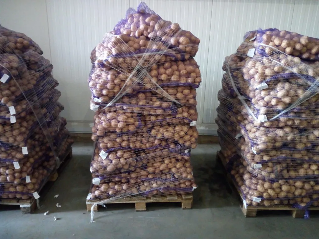 продовольственный картофель в Республике Беларусь