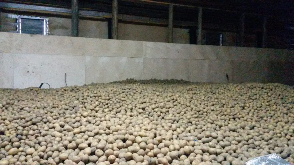 кФХ реализует картофель в Йошкаре-Оле