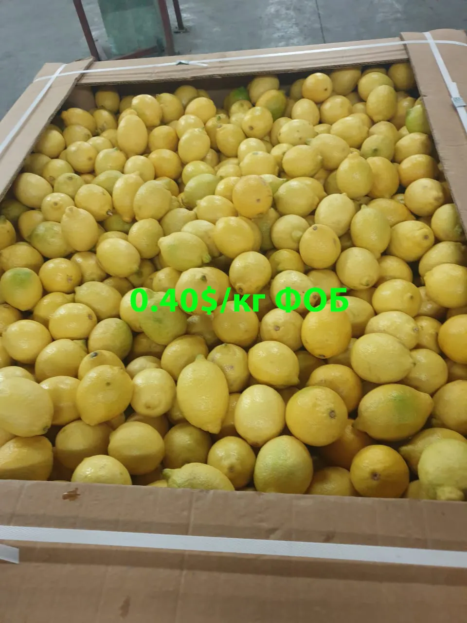 фотография продукта Лимоны от 0.40$/кг / Египет
