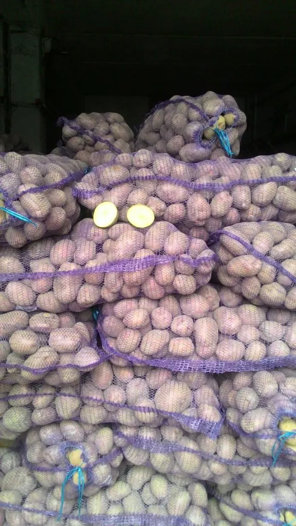 фотография продукта Картофель в розницу и мелким оптом 11 р