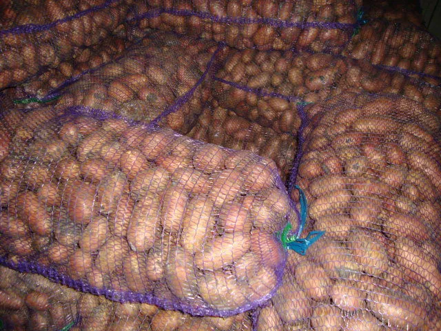 фотография продукта Картофель оптом (Урожай 2016)
