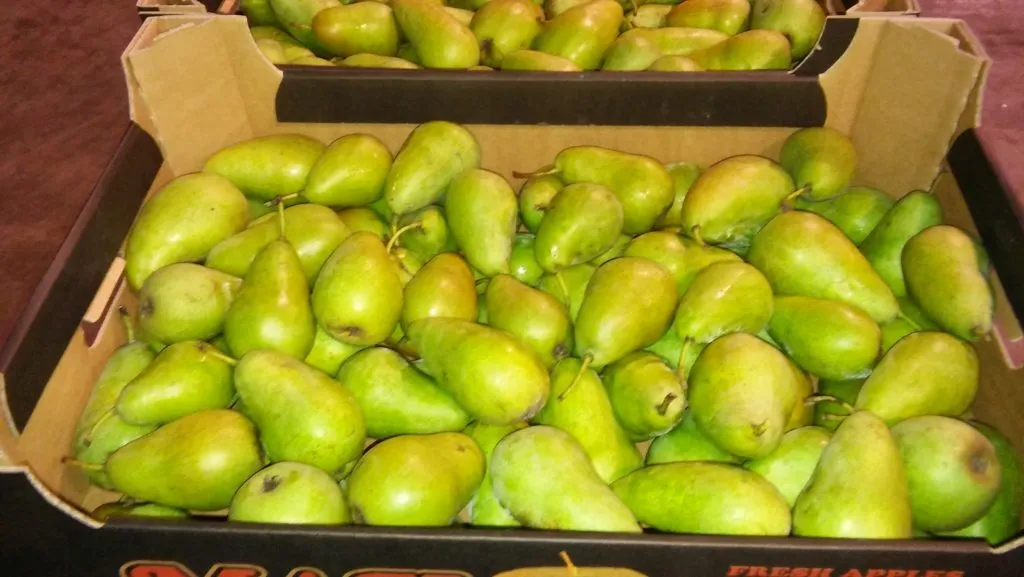 фотография продукта яблоки и груши импорт премиум