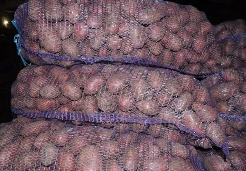 фотография продукта Картофель оптом от фермера от 8р/кг