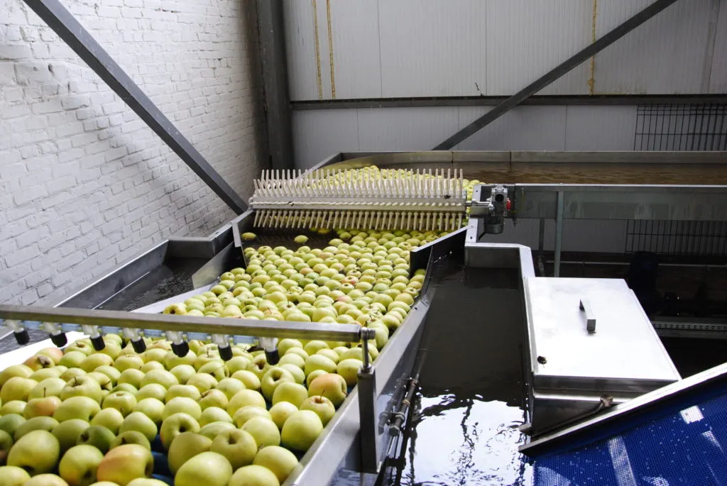 фотография продукта Линии для Калибровки и Сортировки яблок