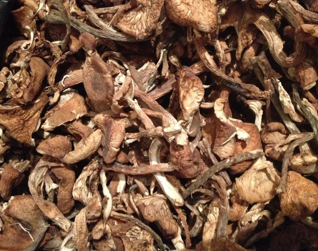 фотография продукта Оптом грибы сушеные лесные в асс-те
