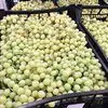 виноград белый, без косточки из Ирана  в Москве