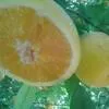 апельсины из Марокко в Санкт-Петербурге 2