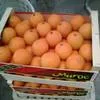 апельсины из Марокко в Санкт-Петербурге