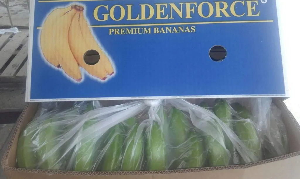 прямые поставки бананов с Эквадора в Аргентине 3
