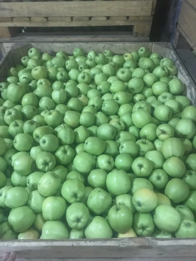 яблоки в ассортименте Молдова  в Молдавии