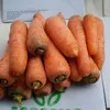 морковь из ُُЕгипта в Бийске 6