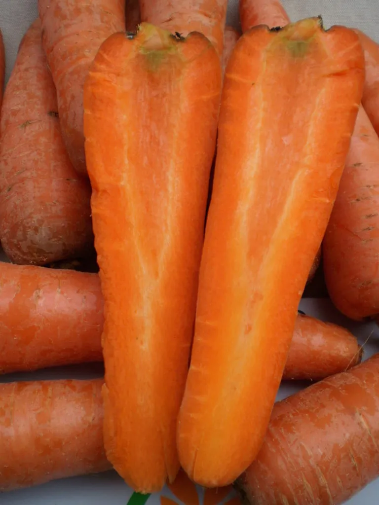 морковь из ُُЕгипта в Бийске 4