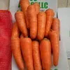 морковь из ُُЕгипта в Бийске 2