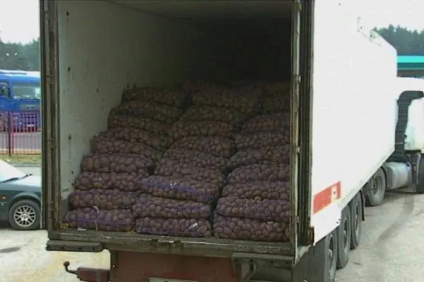 доставка картофеля оптом в Челябинске 3
