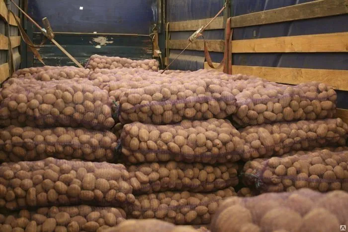 доставка картофеля оптом в Челябинске