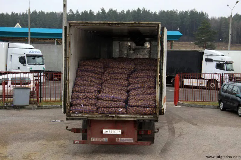доставка картофеля оптом в Челябинске 2