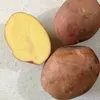  Картофель вес клубни от 70 до 500 гр.  в Брянске 5