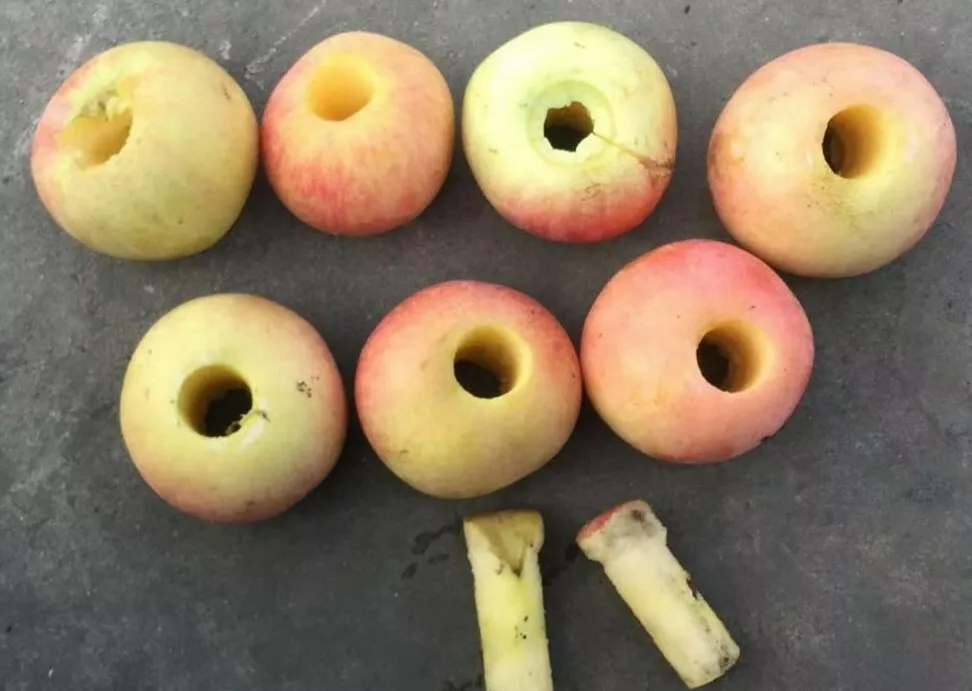 фотография продукта Машина резки яблок и удаление сердцевины