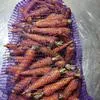 продаю морковь оптом в Ростове-на-Дону