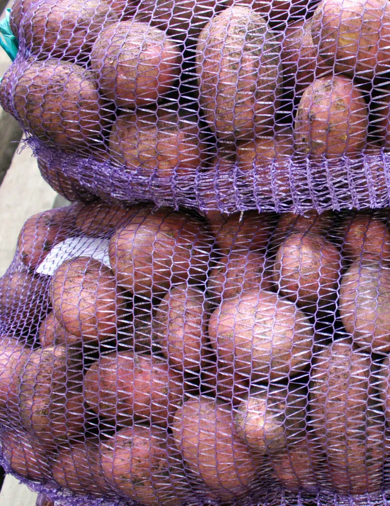 картофель свежий, урожая 2020 года в Республике Беларусь 5