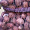 картофель свежий, урожая 2020 года в Республике Беларусь 5