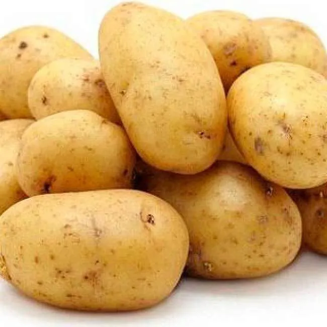 фотография продукта КФХ Реализует и продает картофель оптом