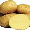 картофель оптом в Веневе