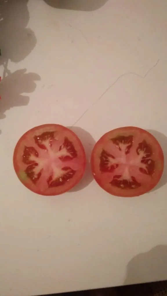 тепличные красные помидоры, томаты оптом в Казани 2