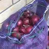 продаю лук фиолетовый оптом в Ростове-на-Дону