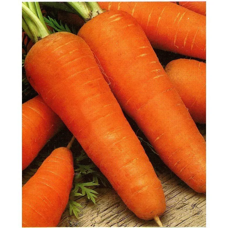 фотография продукта Морковь красная высшей сорт