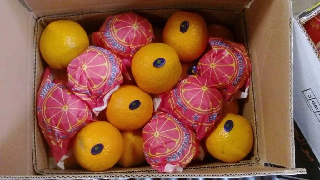 апельсины из Египта в Египте