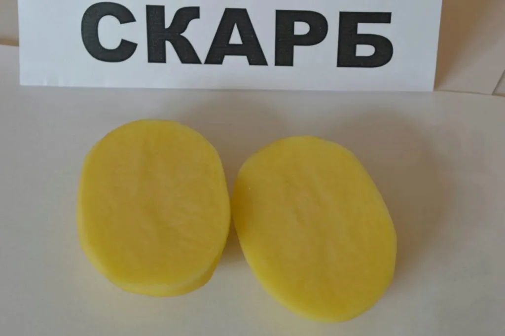 картофель от ОАО Брестский мясокомбинат в Республике Беларусь 4