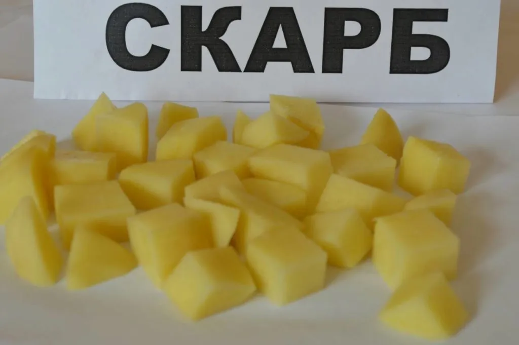 фотография продукта Картофель от ОАО Брестский мясокомбинат