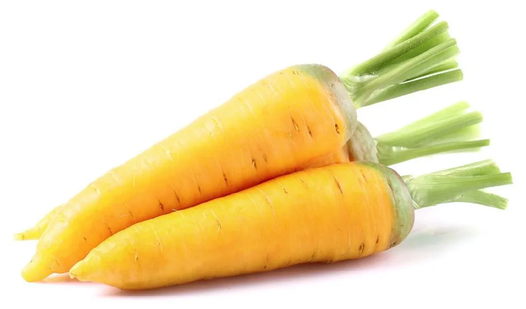 фотография продукта Морковь желтая опт от производителя