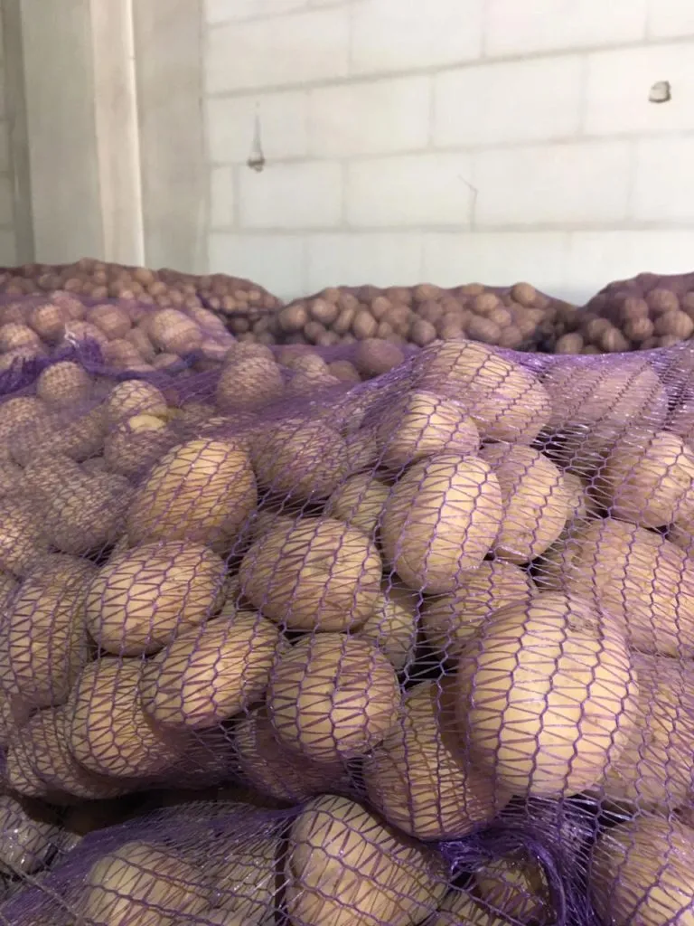 фотография продукта Картофель оптом в Брянской области