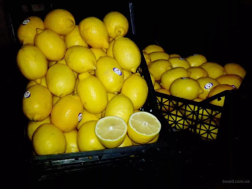 фотография продукта Продаем лимон оптом